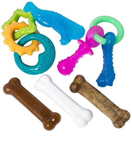 Nylabone Puppy Toy Bundle with Puppy Starter Pack, Puppy Chew Toys, Teething Chew Toys, and Bacon Puppy Treat