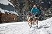 RUFFWEAR - Omnijore Hip Belt for Dog Joring, Running, and Hiking