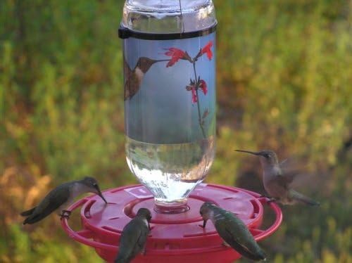 Amazon Com Hummermagnet H07a 16 Oz Clear Glass Hummingbird