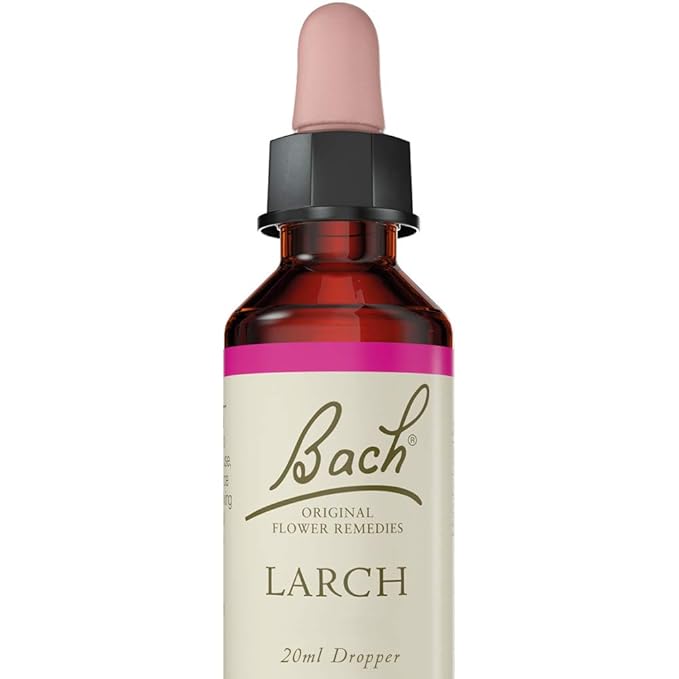 Bach Original Flower Remedy Larch, 20 ml Amazon.co.uk Health & Personal Care