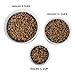 Bone Dry Lattice Collection Pet Bowl & Canister, Single Dish, Small 4.25x2