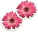Pink Daisies 2.75 x 2.75 Absorbent Ceramic Car Coasters Pack of 2