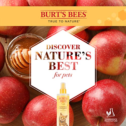 Burt's Bees for Pets Cat Natural Waterless Shampoo with Apple and Honey