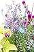 LeBeila Butterfly Stakes – Garden Yard Ornaments & Patio Décor Butterflies Waterproof Butterfly Decorations for Indoor/Outdoor Planter Flower Pot Bed, 72 pcs Christmas & Party Supplies Crafts (72)