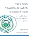 Treating Trauma-Related Dissociation: A Practical, Integrative Approach (Norton Series on Interpersonal Neurobiology)