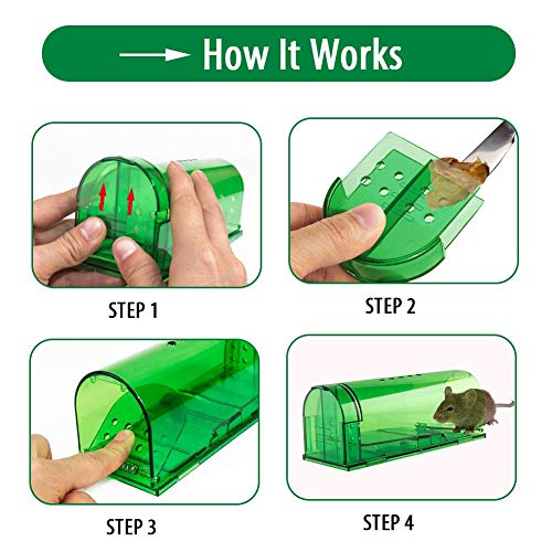 Humane Mouse Trap - Mouse Traps That Work - Best Mouse, Mice and Rat Trap - Plastic Traps Live Catch - //medicalbooks.filipinodoctors.org