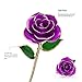 K_LUCKYI Dipped 24K Gold Rose with Gift Box is Unique Gift for Valentine's Day Mother's Day Christmas's Day Lover's Birthday Anniversary gifts With stand (Purple)