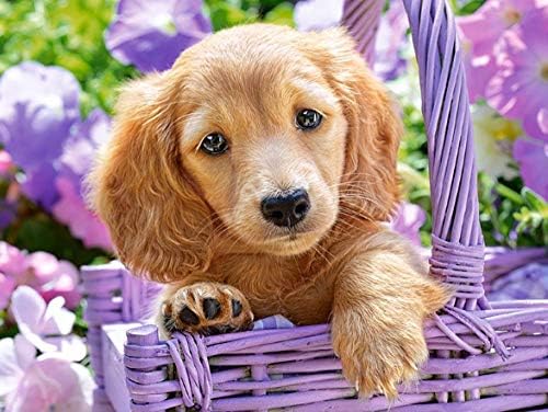 Xiyuyuan ダイヤモンド絵画diyフルダイヤモンドゴールデンレトリーバー犬の家の装飾絵画 Neotek Ru
