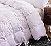 Topsleepy Luxurious Bedding Goose Down Filling Comforter, White (King Size)