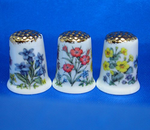 Birchcroft Porcelain China Collectable Thimbles - Set of Three Gold Wild Flowers