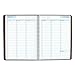 DayMinder Weekly Appointment Book / Planner 2017, 8 x 11