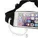 iMangoo Running Belt Waist Pack, Outdoor Sports Waist Pouch Wallet Keys Sleeve Adjustable Hiking Belt Clear Touchscreen Waist Bag Pack for iPhone 6 6s Plus Samsung Galaxy Note2/3/4 Lg G4 Nexus Black