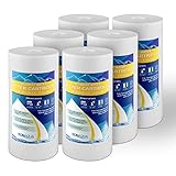 6PP-10B 5 Micron Big Blue Whole House Water Filter Sediment, 10-Inch, 6-Pack