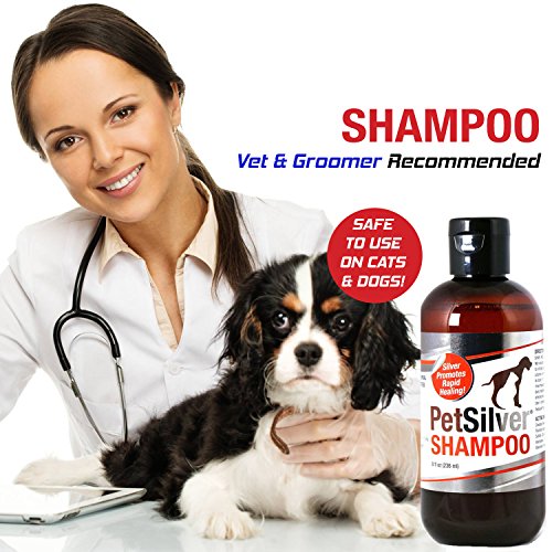 Pet Silver Shampoo with Chelated Silver for Dogs and Cats, 8 oz