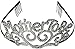 Metal Mother to Be Tiara Baby Shower Mom Gift Crown
