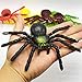 10PCS Halloween Spider Decorations, Large Spider Plastic Spider Fake Spider Realistic Halloween Prank Props for Halloween Home Indoor Party Decorations Supplies