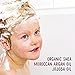 Natural Moroccan Argan Oil Kids Shampoo, Jojoba and Shea Oil Formula by KERALOGIE (10 oz.) - Paraben, Alcohol, Preservatives, Dyes or Additives Free
