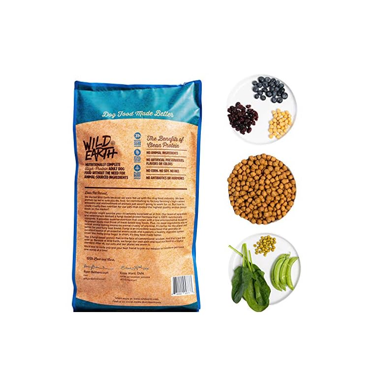 Wild Earth Dog Food for Allergies, Vegan Dry Dog Food, High Protein
