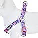 Blueberry Pet 9 Patterns Step-in Spring Scent Inspired Rose Print Irish Blue Dog Harness, Chest Girth 20
