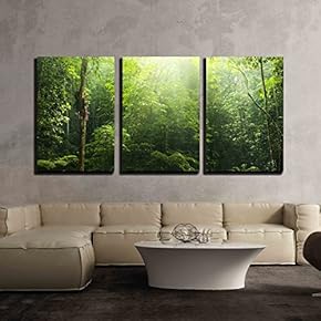 3 Piece Canvas Wall Art - Green Forest with Ray of Light. - Modern Home Art Stretched and Framed Ready to Hang - 16"x24"x3 Panels