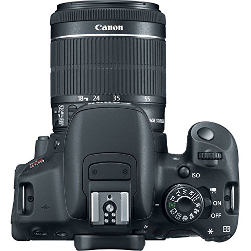 Canon EOS Rebel T5i DSLR Camera with Canon EF-S 18-55mm f/3.5-5.6 IS STM Lens + NEW VIDEO BUNDLE KIT + EXTRA MEMORY CARDS
