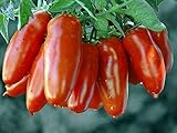 30 Italian San Marzano Paste Tomato Seeds, Heirloom