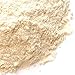 Spice Jungle Horseradish Powder - 1 oz.