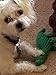 PUPTECK Dog Rope Toy Tough Cotton Dinosaur Puppy Pet Durable Chew Toys for Small or Medium Dogs Biting