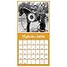 Three Stooges Wall Calendar (2019)
