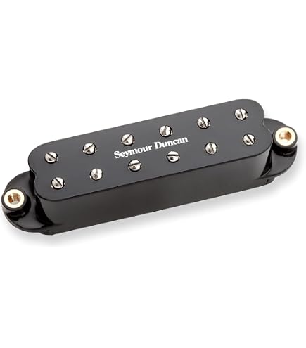 Amazon.com: Seymour Duncan JB Jr. Strat - Neck/Middle Black