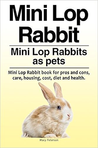 mini lop rabbit price