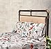 Where The Polka Dots Roam Animals Queen Size 4 Pieces Bedding Set, Super Soft Bedding, 1 Fitted Sheet, 1 Flat Sheet, 2 Pillowcases, Bedsheets for Kids, Boys, Girls, Forest and Wild Animals Bedding