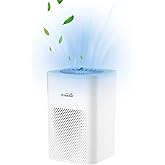 Desktop Air Purifier with HEPA Filter for Office Bedroom Bathroom, Small USB Air Purifiers for Pollutants, Dust, Odor, Super Quiet Powered by USB No Adapter (White)