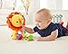 Fisher-Price Activity Toy, Lion
