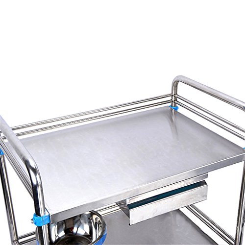 Medical Trolley Stainless Steel Trolley/Beauty Salon Hospital Clinic Utility Vehicle/Medical Instrument Table/Clinic Surgical Vehicle/Infusion Station Transfusion Vehicle/Load 100 Kg -Tool ca