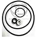 TORK Distributors Compatible with Hayward Power-Flo Power-Flo MATRIX Pool Pump, Shaft Seal & O-ring Rebuild Kit