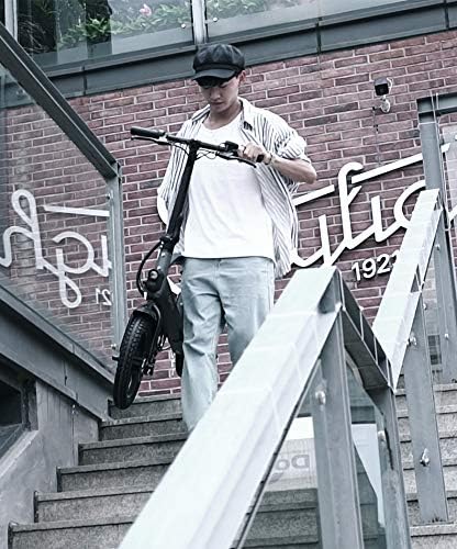 murtisol electric bike