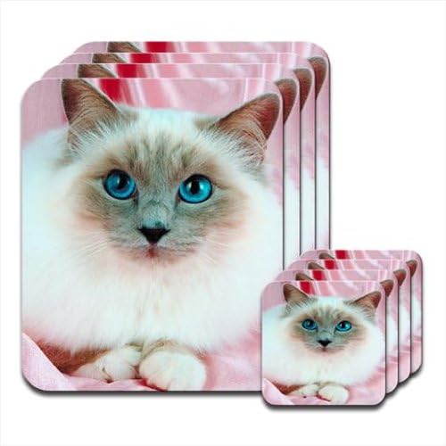 Sacre De Birmanie Cat Lot De 4 Set De Table Et Dessous De Verre Dessous De Verre