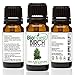 BioFinest Birch Oil - 100% Pure Birch Essential Oil - Fight Muscle & Joint Paint - Premium Quality - Therapeutic Grade - Best For Aromatherapy - FREE E-Book (10ml)