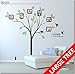 OMH Oh My Home Wall Decal Family Tree Wall Art Decor with Photo Frame, Love Quotes and Growth Chart for Kids