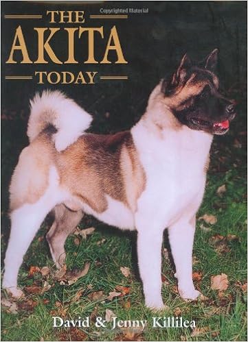 The Akita Today (Book of the Breed) �n�[�h�J�o�[ - 2002/4/1