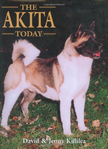 bulldog adoptions near me