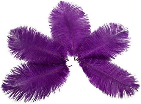 Wionya 50pcs Ostrich Feather Craft 6-8inch(15-20cm) Plume for Wedding Centerpieces Home Decoration