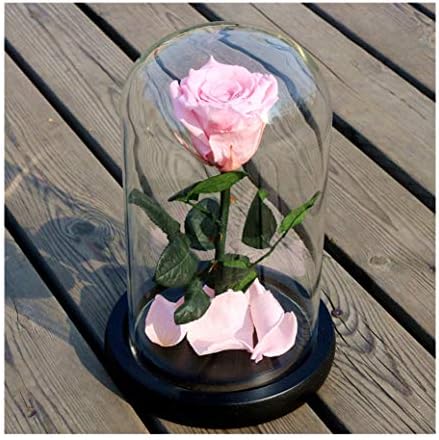 Hsbais フラワーアレンジドライフラワー レッド 海外限定 枯れない花 生花 保存花プリザーブドフラワー 本物のバラで永遠の花 ガラスポット 飾り 誕生日 Pink 木製ベース Rose 最高の贈り物 母の日