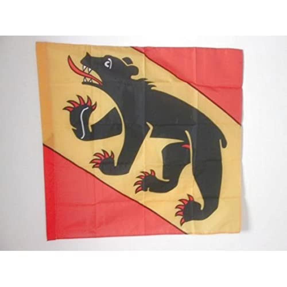 AZ FLAG - Canton of Bern Flag - 3x3 Ft - 100% Polyester Bern - BE Banner with Sleeve - Fade Resistant - Vivid Colors - 3' x 3' Feet - 90x90 Cm