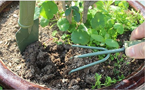 Pertique Gardening Tools Set,Small Rake and Spade Gardening Trowels