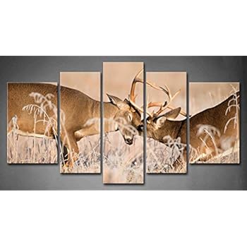 5 Panel Wall Art White Tailed Deer Bucks Sparring Painting Pictures Print On Canvas Animal The Picture for Home Modern Decoration Piece (Stretched by Wooden Frame,Ready to Hang)