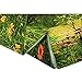 Tapestry Wall Tapestry Wall Hanging Nature Green Tree Jungle Landscape Tapestry Jungle and Streams Tapestry Mysterious Wall Tapestry for Bedroom Dorm Decor
