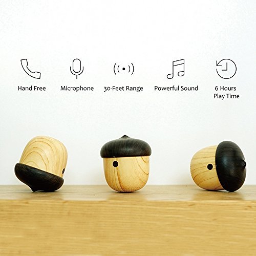 Zebra Zone Super Tiny Portable Bluetooth Speaker 30-Feet Wireless Range with Mic