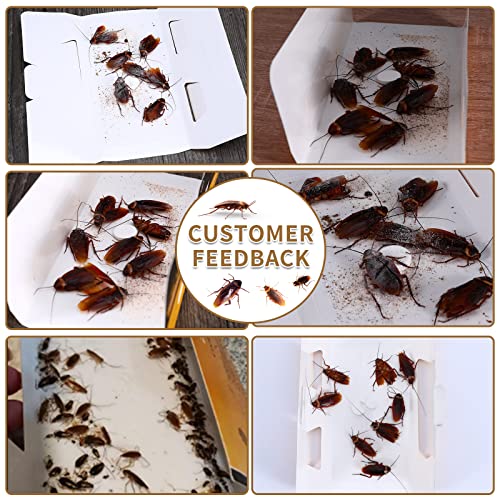 60 Pack Roach Killer,Cockroach Killer with Roach Bait ,Cockroach Killer